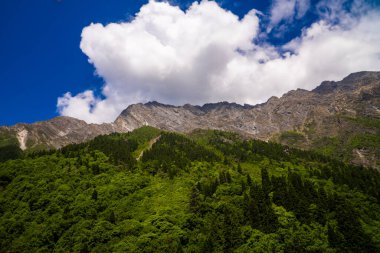 Doğanın Görkemli Yolculuğu: Hemkund Sahib 'e Büyüleyici Yol