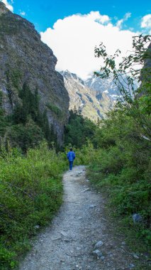 Çiçekler Vadisi 'ne giden yol