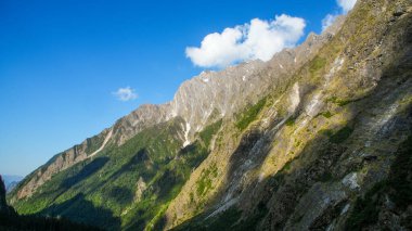 Chamoli Uttarakhand Hindistan 'da Himalayalar' ın Çiçekler Vadisi, Dağ Toprakları