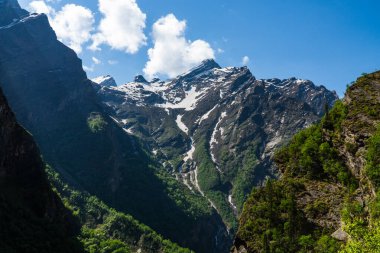 Chamoli Uttarakhand Hindistan 'da Himalayalar' ın Çiçekler Vadisi, Dağ Toprakları