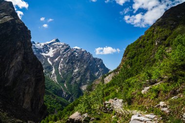 Chamoli Uttarakhand Hindistan 'da Himalayalar' ın Çiçekler Vadisi, Dağ Toprakları