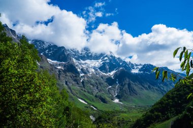 Chamoli Uttarakhand Hindistan 'da Himalayalar' ın Çiçekler Vadisi, Dağ Toprakları