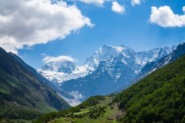Chamoli Uttarakhand Hindistan 'da Himalayalar' ın Çiçekler Vadisi, Dağ Toprakları
