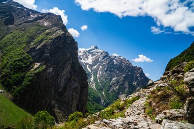 Chamoli Uttarakhand Hindistan 'da Himalayalar' ın Çiçekler Vadisi, Dağ Toprakları