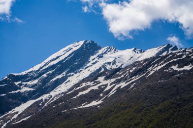 Chamoli Uttarakhand Hindistan 'da Himalayalar' ın Çiçekler Vadisi, Dağ Toprakları