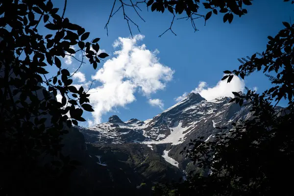 Chamoli Uttarakhand Hindistan 'da Himalayalar' ın Çiçekler Vadisi, Dağ Toprakları