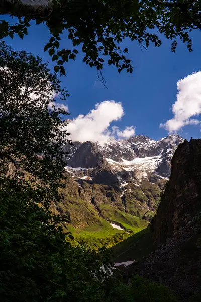 Chamoli Uttarakhand Hindistan 'da Himalayalar' ın Çiçekler Vadisi, Dağ Toprakları