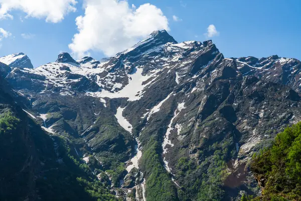 Chamoli Uttarakhand Hindistan 'da Himalayalar' ın Çiçekler Vadisi, Dağ Toprakları