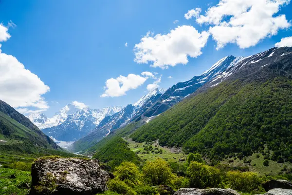 Chamoli Uttarakhand Hindistan 'da Himalayalar' ın Çiçekler Vadisi, Dağ Toprakları