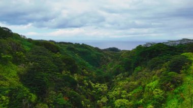 Hawaii 'de Uçan Havadan Uçan Çamur ve Dağ Sırtı 