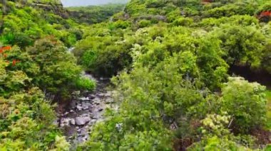 Hawaii 'de Uçan Havadan Uçan Çamur ve Dağ Sırtı 