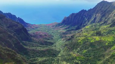 Hawaii 'de Uçan Havadan Uçan Çamur ve Dağ Sırtı 