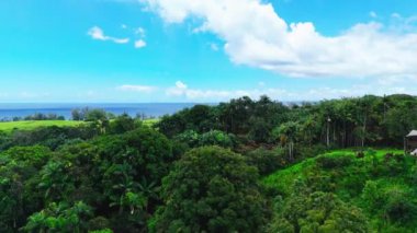 Hawaii 'de Uçan Havadan Uçan Çamur ve Dağ Sırtı 