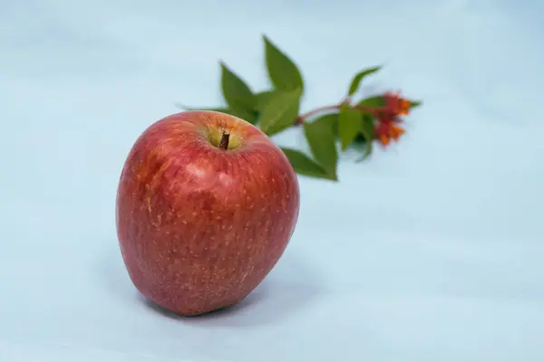 Sade arkaplanda izole edilmiş taze kırmızı elma fotoğrafı