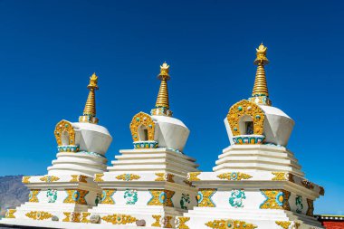 Thikse Gompa veya Thiksey Manastırı (İngilizce: Thikse Gompa veya Thiksey Manastırı), Hindistan 'ın kuzeyindeki Leh kentinde bulunan Tibet Budist manastırı. 