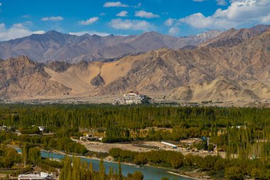 Thikse Gompa veya Thiksey Manastırı (İngilizce: Thikse Gompa veya Thiksey Manastırı), Hindistan 'ın kuzeyindeki Leh kentinde bulunan Tibet Budist manastırı. 