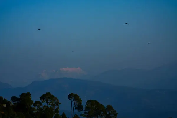 Dağ köyü Kausani, Someshwar, Uttarakhand Hindistan 'daki izole evlerde çiftçilik yapıyor.