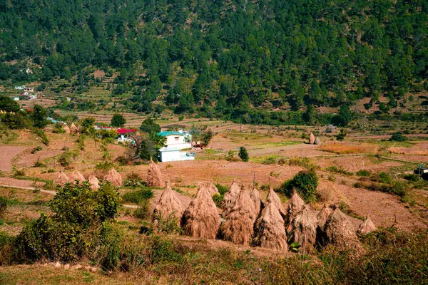 Himalaya tepeleri olan köy Kausani Uttarakhand Someshwar 'da sürdürülebilir yaşam tarzına sahip. 
