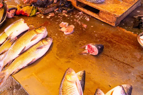 Tatlı Su Lezzetleri: Geleneksel Markette Gösterilen Balıklar