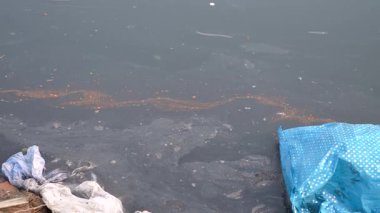 Yamuna kirliliğini ve kirlenmiş nehir suyunu ortaya çıkarmak