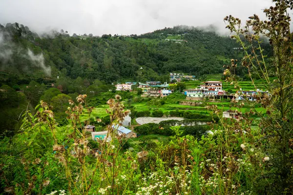 Rautu Ki Beli 'deki Uttarakhand Dağı Vadisi' nde Doğanın Güzelliği Paneer Köyü olarak da bilinir.