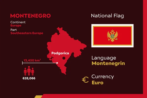 Detalle Ilustración Vectorial Infográfica Moderna Con País Montenegro — Vector de stock
