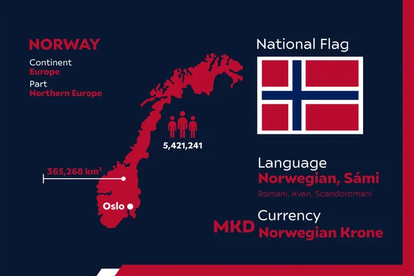 Detalhe Ilustração Moderna Vetor Infográfico Com País Noruega —  Vetores de Stock