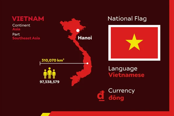 詳細情報ベトナム国と現代のインフォグラフィックベクトルイラスト — ストックベクタ