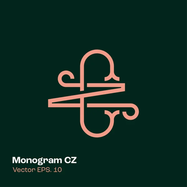 Monogram tasarım CN logo şablonu. Zarif çizgi sanat ikonu. Kartvizit. Vektör illüstrasyonu