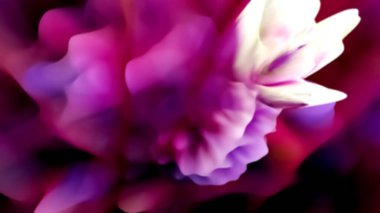 Koyu arkaplan üzerinde güzel kırmızı pembe geometrik çiçek kompozisyonu