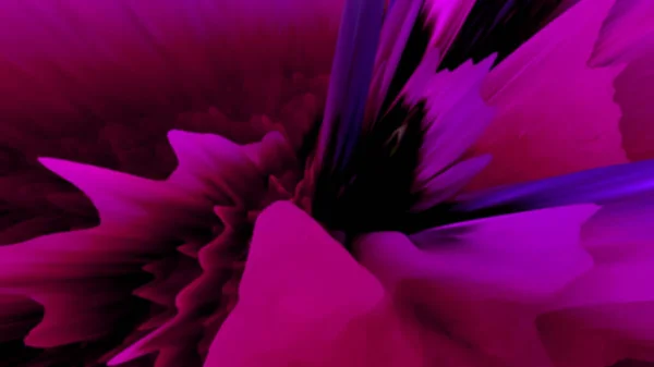 Krásné Červené Růžové Geometrické Květinové Složení Tmavém Pozadí Abstraktní Tekutina — Stock fotografie