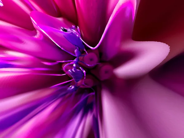 要旨カラフルな咲くダリアの花の背景マクロアリセンターピンクブルー美しいダリアの壁紙のためのクローズアップ — ストック写真