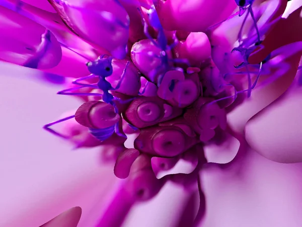 要旨カラフルな咲くダリアの花の背景マクロアリセンターピンクブルー美しいダリアの壁紙のためのクローズアップ — ストック写真