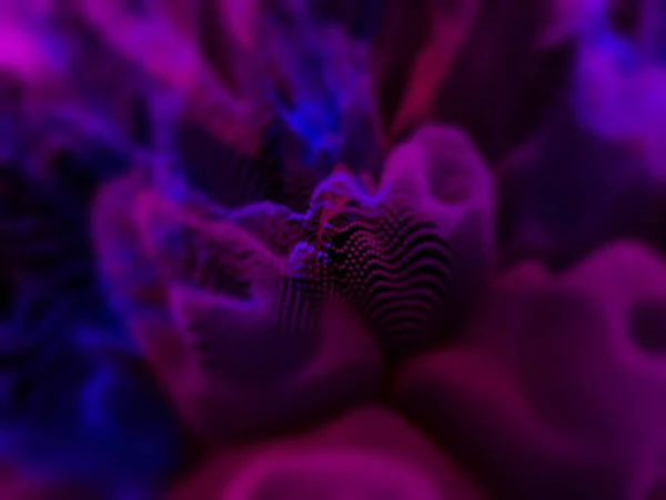Flytande Färg Fusion Blå Rosa Färgglada Abstrakt Bakgrund För Tapeter — Stockfoto
