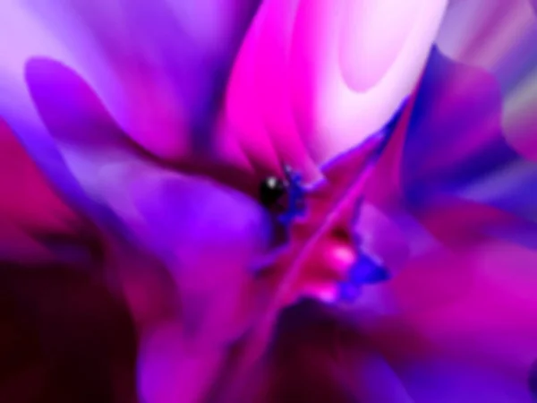 Colore Liquido Fusion Blu Rosa Colorato Sfondo Astratto Carta Parati — Foto Stock