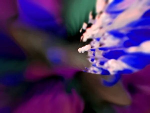 液体色融合青ピンク色の抽象的な背景のための壁紙 — ストック写真