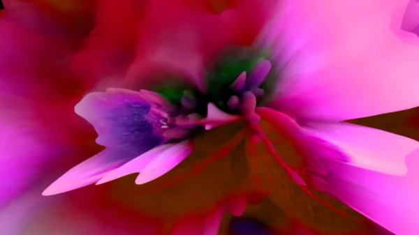 Beautiful Red Pink Geometric Floral Composition Dark Background Abstract Liquid — Stock Photo, Image