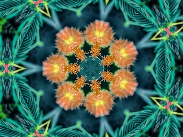 Soyut Alev Mandala Çiçeği Rengarenk Süslü Çiçekli Yuvarlak Desen — Stok fotoğraf