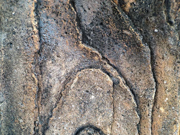 Steinschmuck Form Eines Aus Zement Geschnittenen Baumes Aufgenommen Auf Dem — Stockfoto
