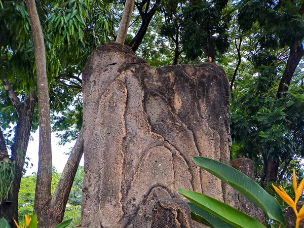 Ornamento Piedra Forma Árbol Cortado Cemento Disparado Plaza Del Jardín — Foto de Stock