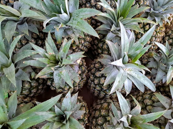 Collection Fresh Green Pineapples Mini Market Fruit Basket — Stock Photo, Image