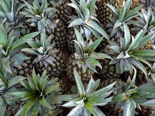 A collection of fresh green pineapples in a mini market fruit basket