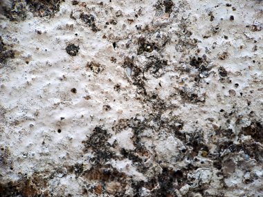 Çatlak desenli sert duvar çimento beyaz duvar arkaplanı, çevrimiçi ürünlerin, afişlerin, broşürlerin, vs. gösterilmesine uygun