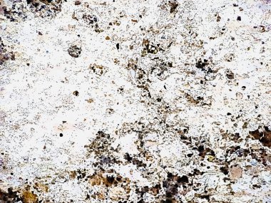 Antik beyaz alçı kabataslak duvar dokusu Soyut betonarme duvar yüzey Alçı arkaplan İçsel doku tasarımı için fotokopi alanı çevrimiçi reklam ürün gösterimi için.