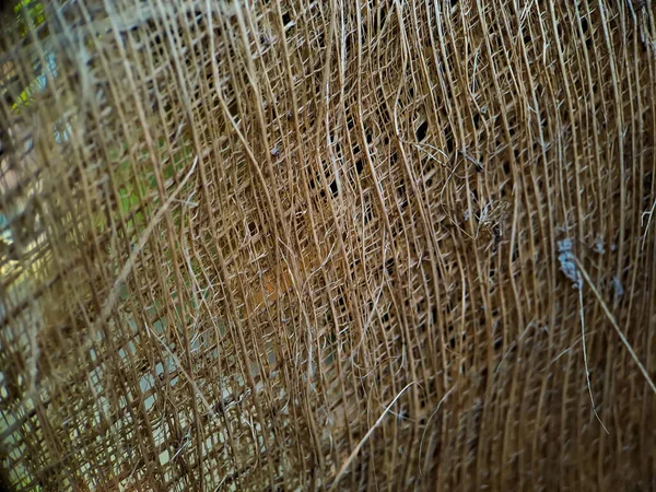 ココナッツのコイア構造の近くに ココナッツ繊維の木 茶色の自然の背景に撮影した 消費と環境生産のためです 車の座席やマットレスによく使われます — ストック写真