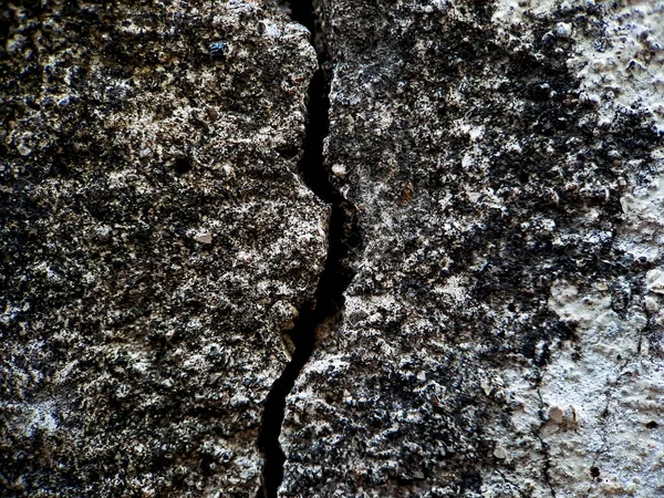 Retak Tekstur Kasar Dinding Semen Putih Latar Belakang Dinding Abu — Stok Foto