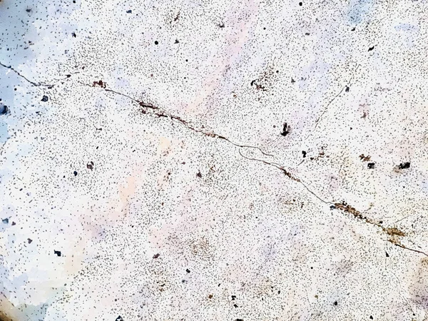Antyczny Biały Tynk Szorstki Ściana Tekstura Streszczenie Cementowana Powierzchnia Ściana — Zdjęcie stockowe