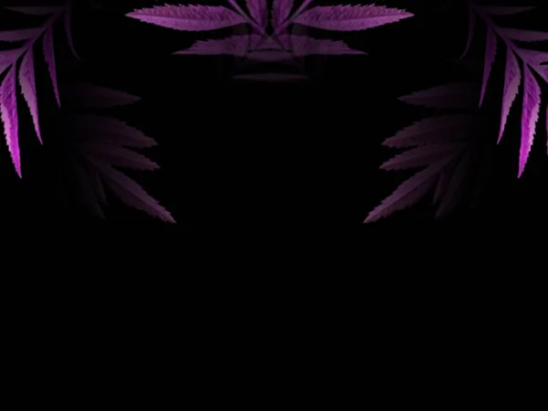 Κλαδί Δέντρο Μοτίβο Ροζ Φύλλα Μαύρο Φόντο Απομονωμένη Closeup Βοτανικό — Φωτογραφία Αρχείου