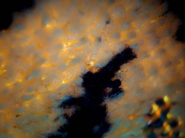 Dua halısının koyu mavi ve altın rengi dokusu. Duvar kağıdı arkaplanı için uygun