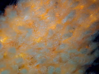 Dua halısının koyu mavi ve altın rengi dokusu. Duvar kağıdı arkaplanı için uygun